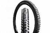 Schwalbe TACKY CHAN Super Downhill 29 Inch MTB Tire