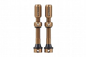 Teravail Alloy Tubeless Valves
