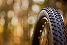 Continental Cross King 29" ProTection MTB Tire 5