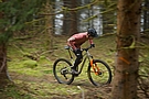 Fox 2026 Factory 36SL Float 29" Suspension Fork 1