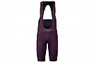 Pearl Izumi Mens Expedition Pro Bib Short 16