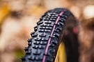 Schwalbe RACING RALPH Super Ground 29 Inch MTB Tire 3