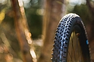 Schwalbe RACING RAY Super Ground 29 Inch MTB Tire 3