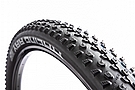 Schwalbe RACING RAY Super Ground 29 Inch MTB Tire 2