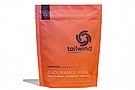 Tailwind Nutrition Caffeinated Endurance Fuel 22