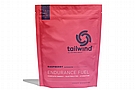 Tailwind Nutrition Caffeinated Endurance Fuel 20
