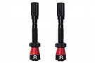 Santa Cruz Bicycles Reserve Fillmore Tubeless Valve 1