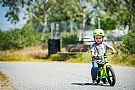 Bell Lil Ripper Toddler Helmet Bell Lil Ripper Toddler Helmet