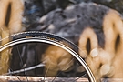 Continental Contact Plus 27.5" (650b) Tire 