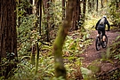 Camelbak M.U.L.E. 12 Hydration Pack 