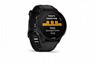Garmin Forerunner 955 Solar Training Status