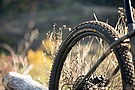 Pirelli Scorpion XC M 29 Inch MTB Tire 