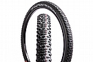 Schwalbe RACING RALPH Super Ground 29 Inch MTB Tire 