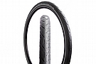 Schwalbe Spicer Plus 700c Tire 