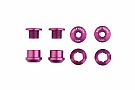 Wolf Tooth Components Set of 4 Alloy Chainring Bolts for 1x Drivetrains Purple