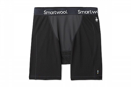 Smartwool Mens Merino Sport 250 Wind Boxer Brief