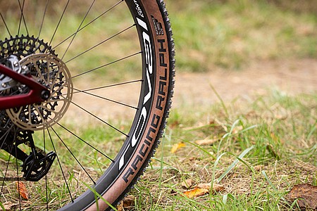 Schwalbe RACING RALPH Super Race 29 Inch MTB Tire [11654053.01]
