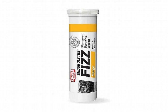 Hammer Nutrition Endurolytes Fizz (13 Tablets) Mango