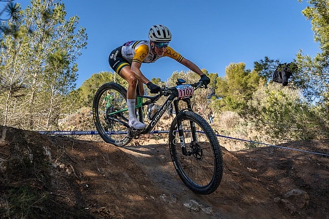 Fox 2026 Factory 34SL Float 29" Suspension Fork 