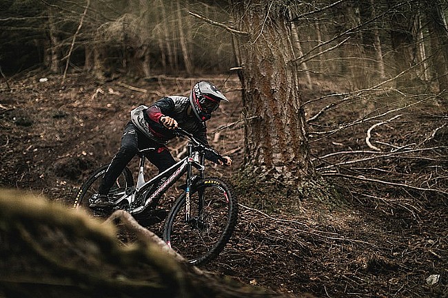 Maxxis Shorty V2 29" 3CG/TR/DD MTB Tire 