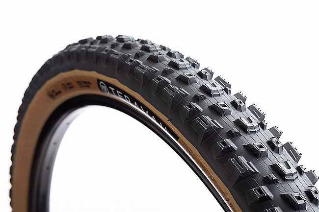 Teravail Warwick 29 Inch MTB Tire Tanwall
